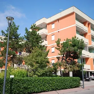 Cormoran , Bibione Italien